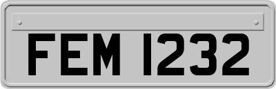 FEM1232
