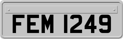FEM1249