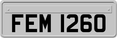 FEM1260