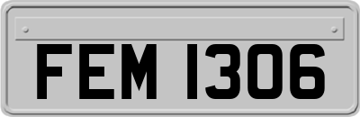 FEM1306