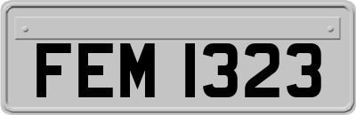 FEM1323
