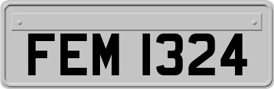 FEM1324