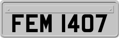 FEM1407