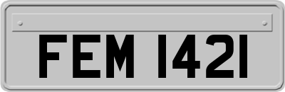 FEM1421