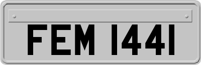FEM1441