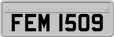 FEM1509