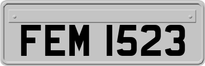 FEM1523