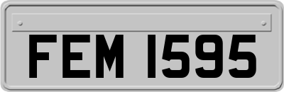 FEM1595