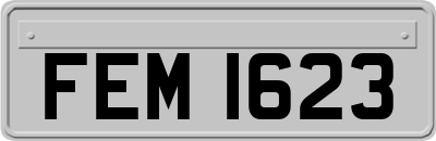 FEM1623