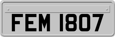 FEM1807