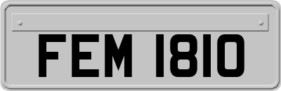 FEM1810