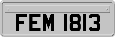 FEM1813