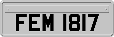 FEM1817
