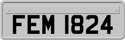 FEM1824