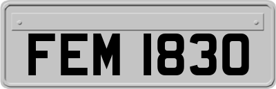 FEM1830