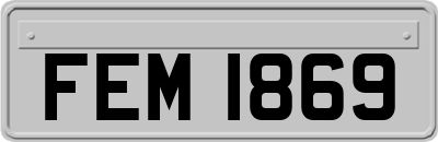 FEM1869