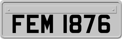 FEM1876