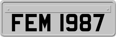 FEM1987