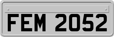 FEM2052