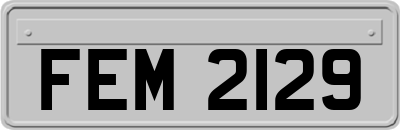 FEM2129