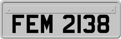 FEM2138