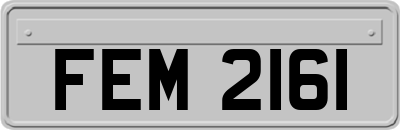 FEM2161