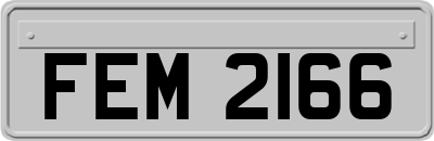 FEM2166