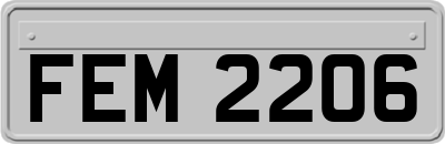 FEM2206