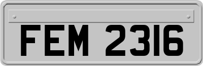 FEM2316