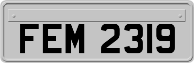 FEM2319