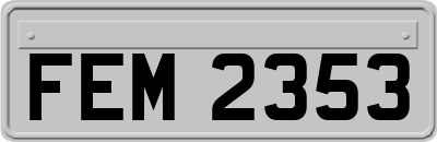 FEM2353