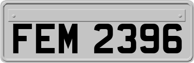 FEM2396