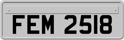 FEM2518