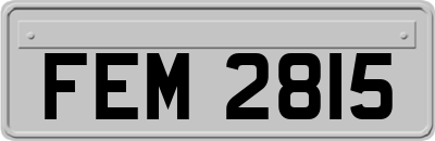 FEM2815