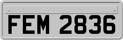 FEM2836