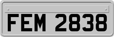 FEM2838