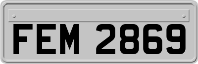 FEM2869
