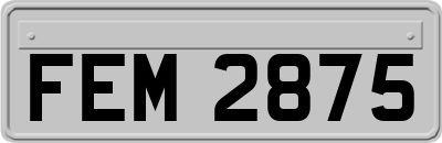 FEM2875