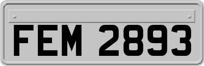 FEM2893