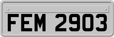 FEM2903