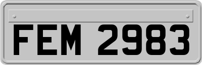 FEM2983