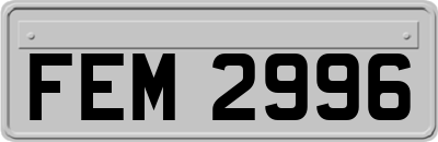 FEM2996