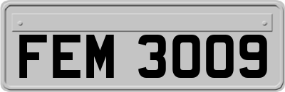 FEM3009