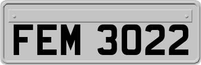 FEM3022