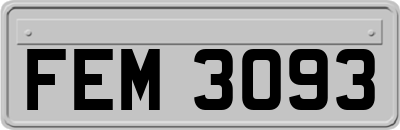FEM3093
