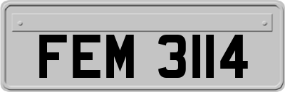 FEM3114