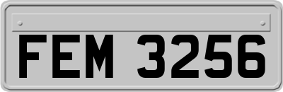 FEM3256