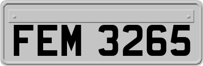 FEM3265
