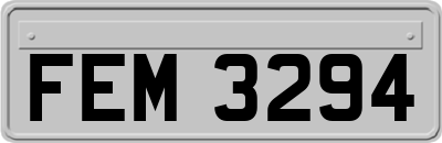 FEM3294
