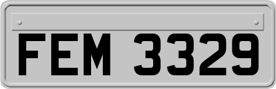 FEM3329